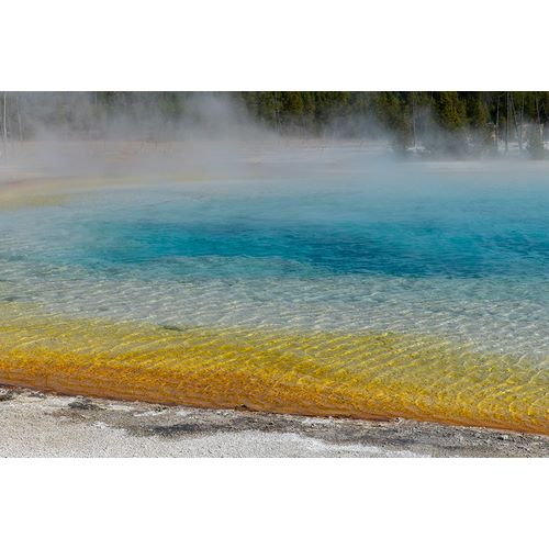 Hopkins, Cindy Miller 아티스트의 USA-Wyoming-Yellowstone National Park-Black Sand Basin-Rainbow Pool작품입니다.